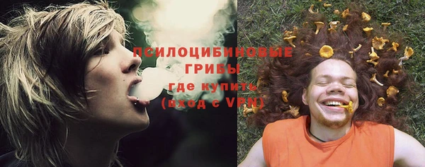 apvp Алексин