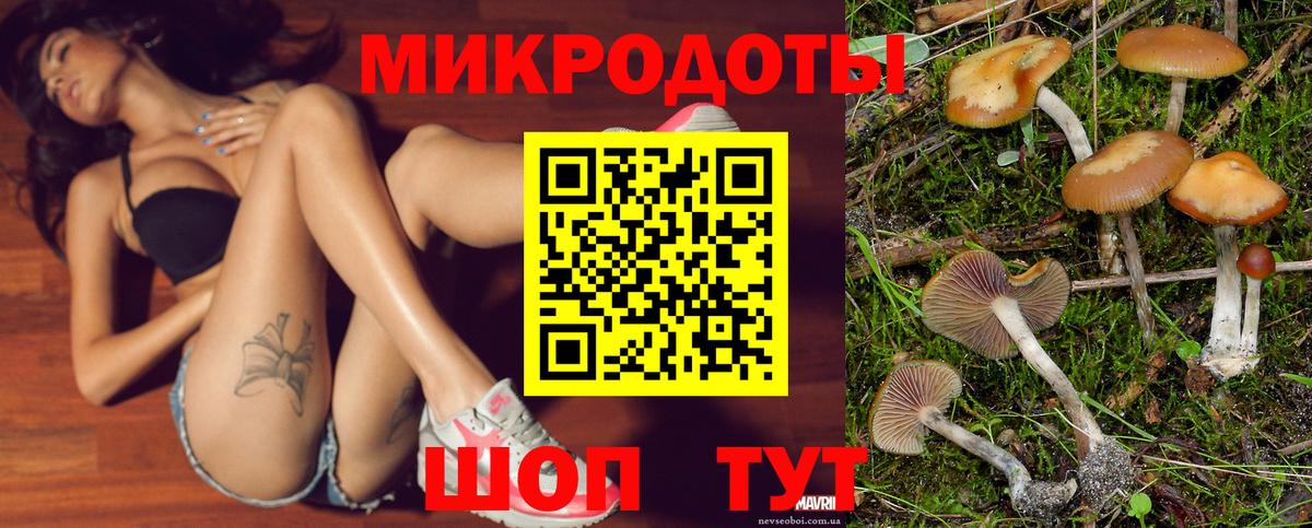 Псилоцибиновые грибы GOLDEN TEACHER Черемхово